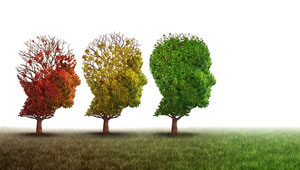 � freshidea- Fotolia.com