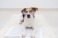� Kira_Yan - AdobeStock.com